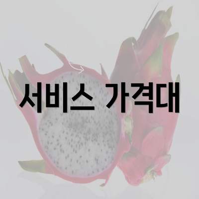 서비스 가격대