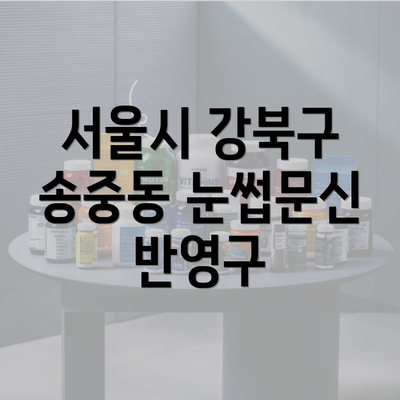 서울시 강북구 송중동 눈썹문신 반영구