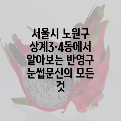 서울시 노원구 상계3·4동에서 알아보는 반영구 눈썹문신의 모든 것