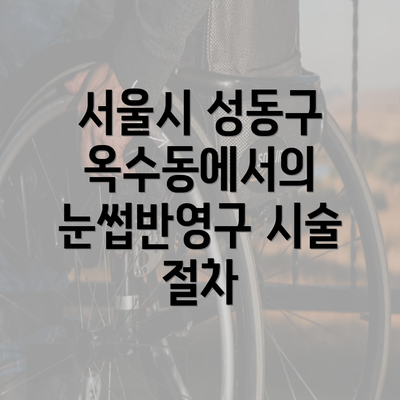 서울시 성동구 옥수동에서의 눈썹반영구 시술 절차