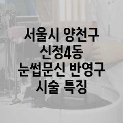 서울시 양천구 신정4동 눈썹문신 반영구 시술 특징