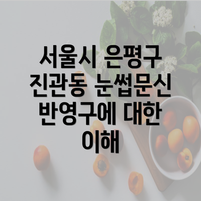 서울시 은평구 진관동 눈썹문신 반영구