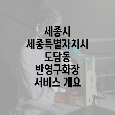 세종시 세종특별자치시 도담동 반영구화장 서비스 개요