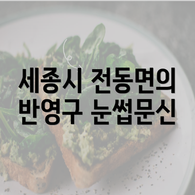 세종시 전동면의 반영구 눈썹문신