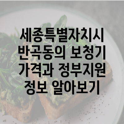 세종특별자치시 반곡동의 보청기 가격과 정부지원 정보 알아보기