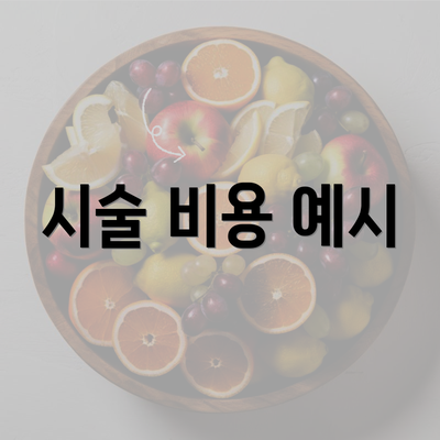 시술 비용 예시