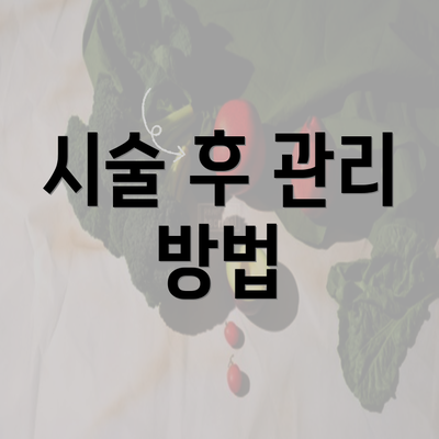 시술 후 관리 방법