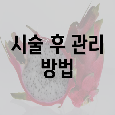 시술 후 관리 방법