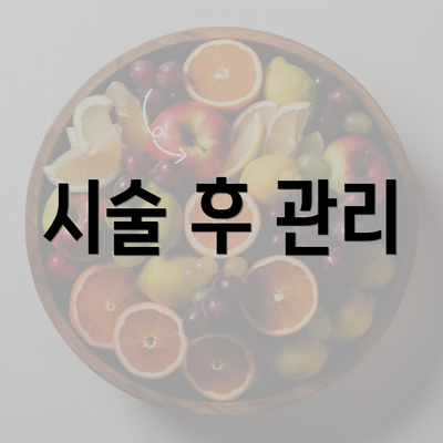 시술 후 관리