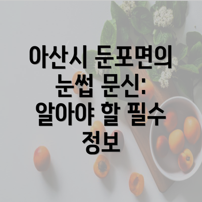 아산시 둔포면의 눈썹 문신: 알아야 할 필수 정보