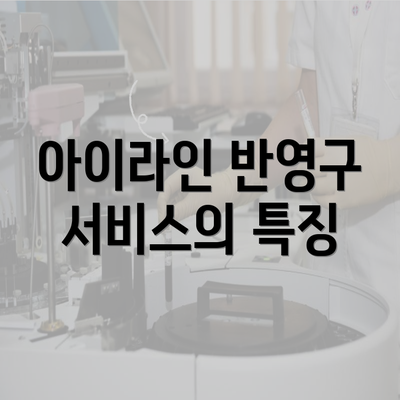 아이라인 반영구 서비스의 특징