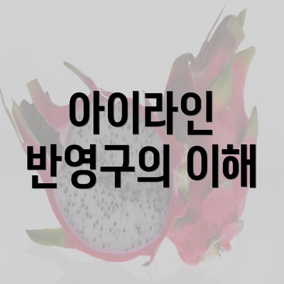 아이라인 반영구의 이해