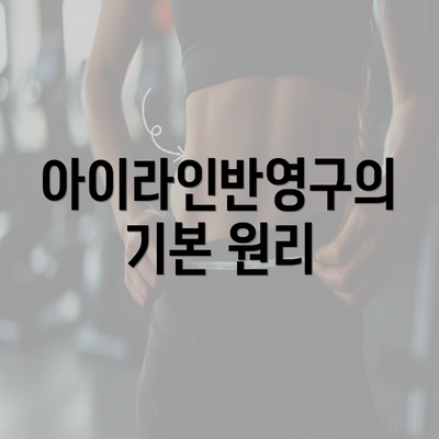 아이라인반영구의 기본 원리