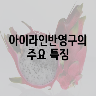 아이라인반영구의 주요 특징