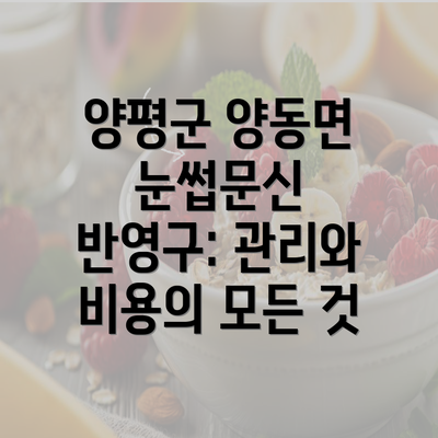 양평군 양동면 눈썹문신 반영구: 관리와 비용의 모든 것