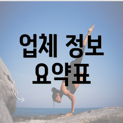 업체 정보 요약표