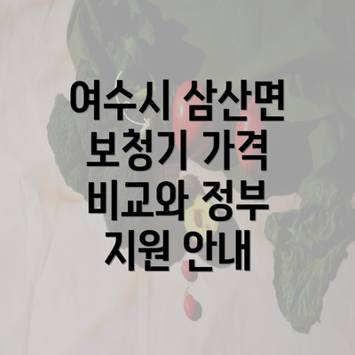 여수시 삼산면 보청기 가격 비교와 정부 지원 안내