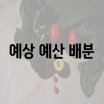 예상 예산 배분