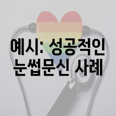 예시: 성공적인 눈썹문신 사례