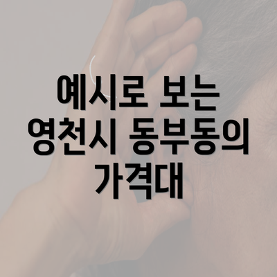 예시로 보는 영천시 동부동의 가격대