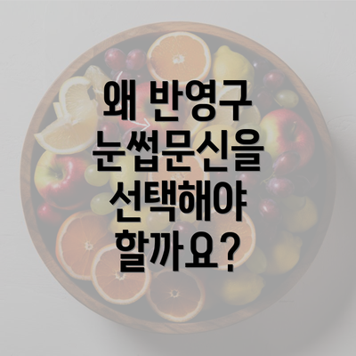 왜 반영구 눈썹문신을 선택해야 할까요?