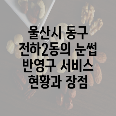 울산시 동구 전하2동의 눈썹 반영구 서비스 현황과 장점