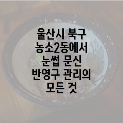 울산시 북구 농소2동에서 눈썹 문신 반영구 관리의 모든 것