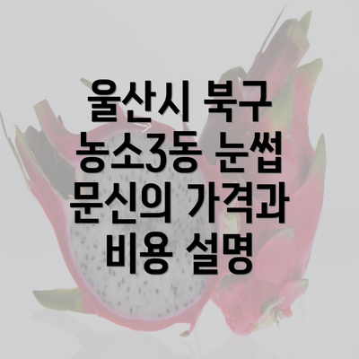 울산시 북구 농소3동 눈썹 문신의 가격과 비용 설명