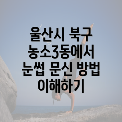 울산시 북구 농소3동에서 눈썹 문신 방법 이해하기