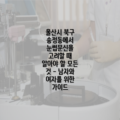 울산시 북구 송정동에서 눈썹문신을 고려할 때 알아야 할 모든 것 - 남자와 여자를 위한 가이드