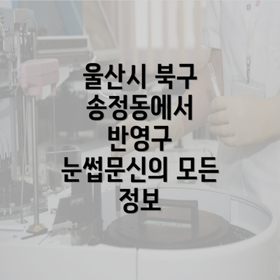 울산시 북구 송정동에서 반영구 눈썹문신의 모든 정보