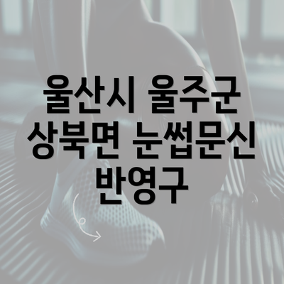 울산시 울주군 상북면 눈썹문신 반영구