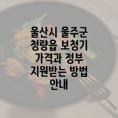 울산시 울주군 청량읍 보청기 가격과 정부 지원받는 방법 안내