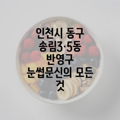 인천시 동구 송림3·5동 반영구 눈썹문신의 모든 것