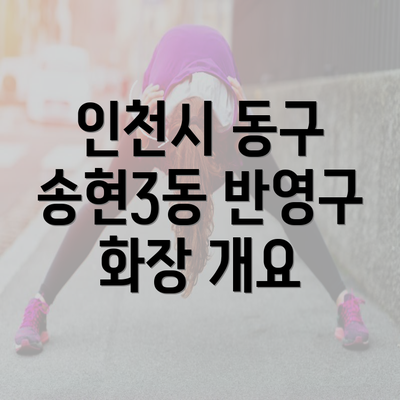 인천시 동구 송현3동 반영구 화장 개요