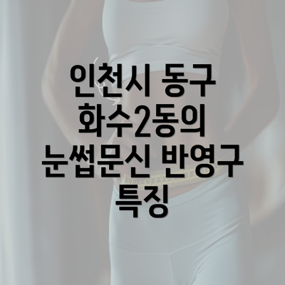 인천시 동구 화수2동의 눈썹문신 반영구 특징