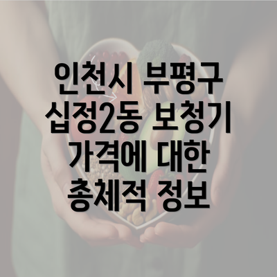 인천시 부평구 십정2동 보청기 가격에 대한 총체적 정보