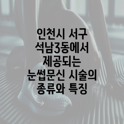 인천시 서구 석남3동에서 제공되는 눈썹문신 시술의 종류와 특징