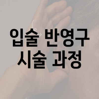 입술 반영구 시술 과정