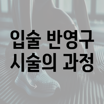 입술 반영구 시술의 과정