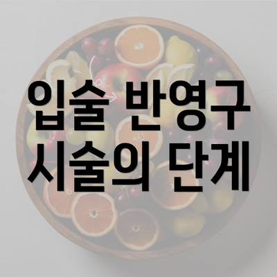 입술 반영구 시술의 단계