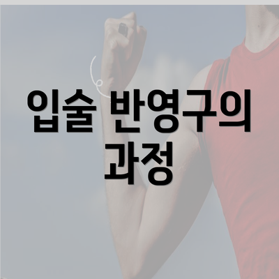 입술 반영구의 과정