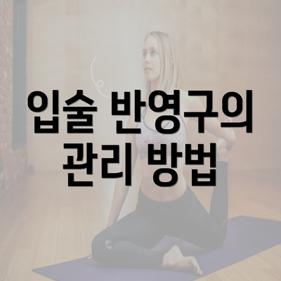 입술 반영구의 관리 방법