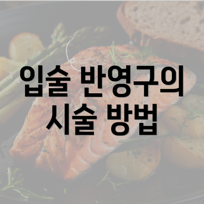 입술 반영구의 시술 방법