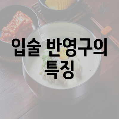 입술 반영구의 특징