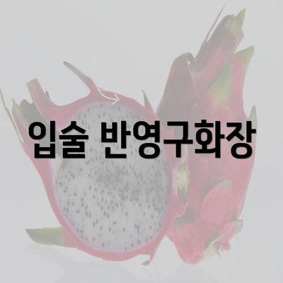 입술 반영구화장