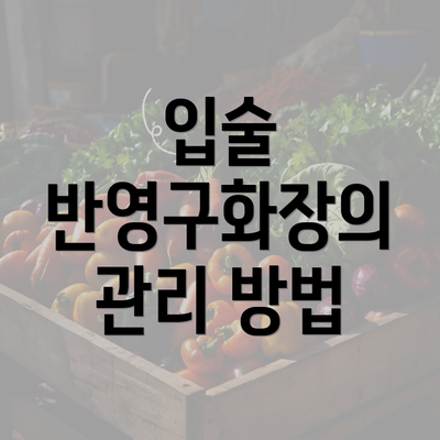 입술 반영구화장의 관리 방법