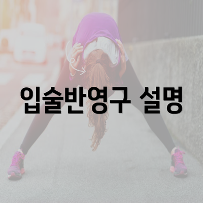 입술반영구 설명