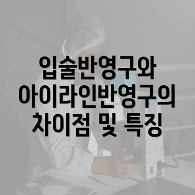 입술반영구와 아이라인반영구의 차이점 및 특징