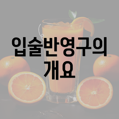 입술반영구의 개요